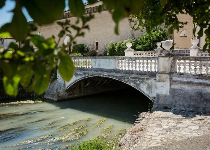 Volpi * Mogliano Veneto