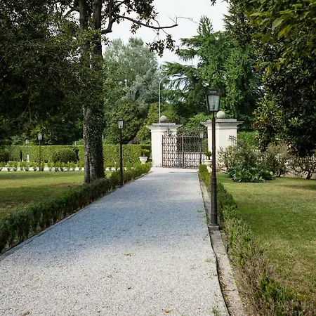 Volpi