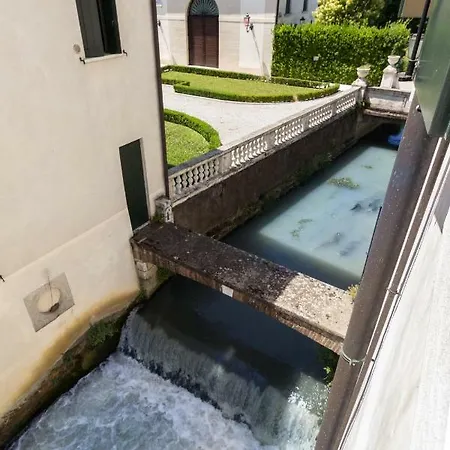 Volpi